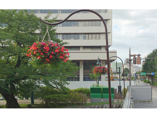 今井雅石園植木株式会社 施工例写真拡大