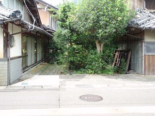 和庭に数寄屋門