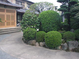 お寺のお庭