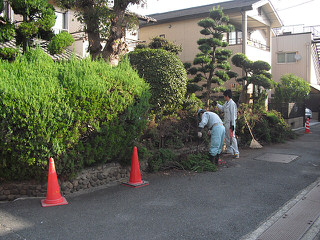 植栽から化粧ﾌﾞﾛｯｸへ