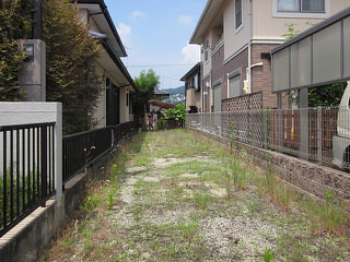 石と植栽が織り成す和庭園