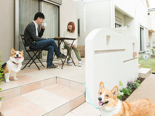 愛犬と楽しく過ごせるお庭にリフォーム♪